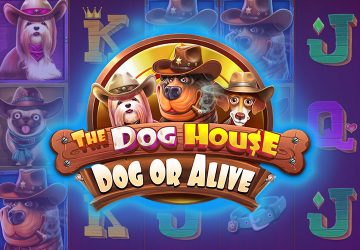 Автомат The Dog House Dog Or Alive в Vulkan Grand Casino